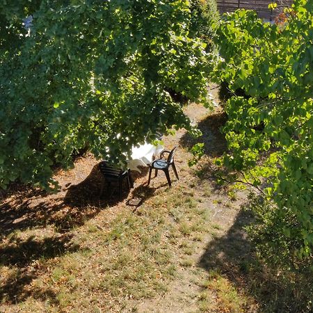 Rendez-Vous Sous Le Tilleul, En Cevennes. Molieres-Cavaillac 外观 照片